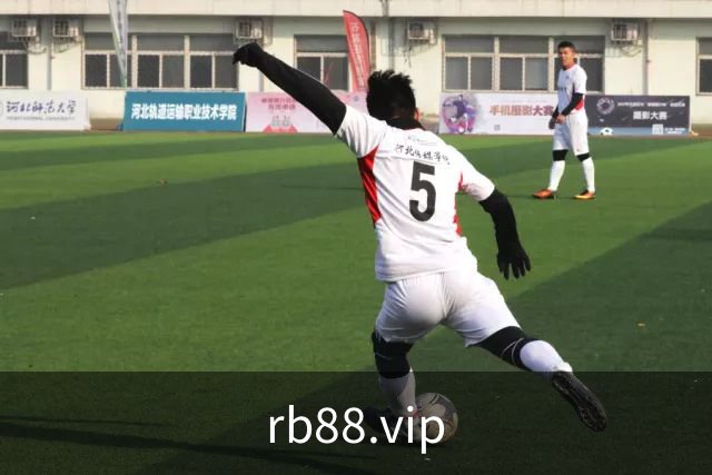 rb88.vip公司简介